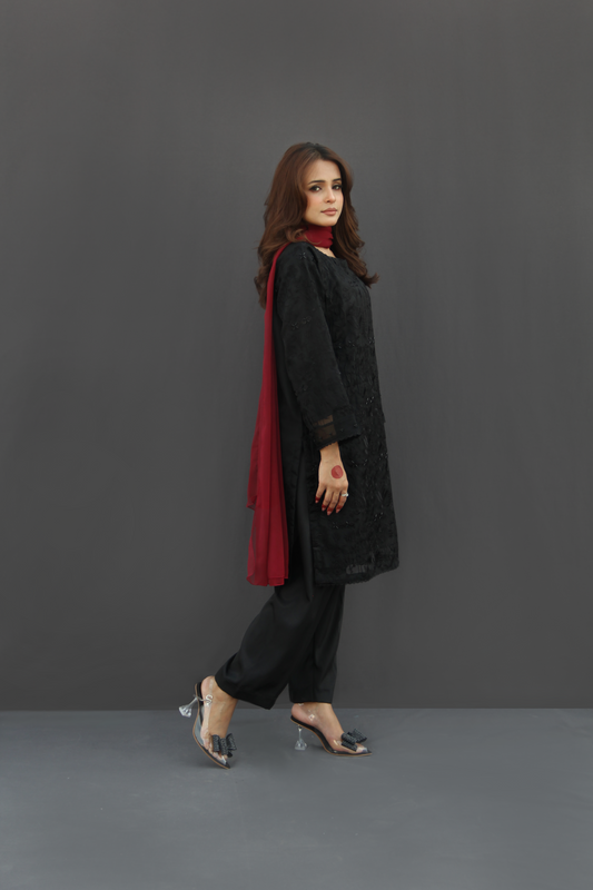 Shab-Black Organza Embroidered Suit (3-piece)